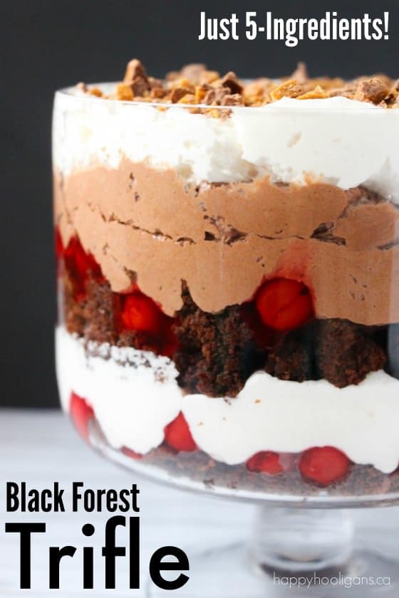 5-přísada Black Forest maličkost s Brownies a třešňový koláč náplní 